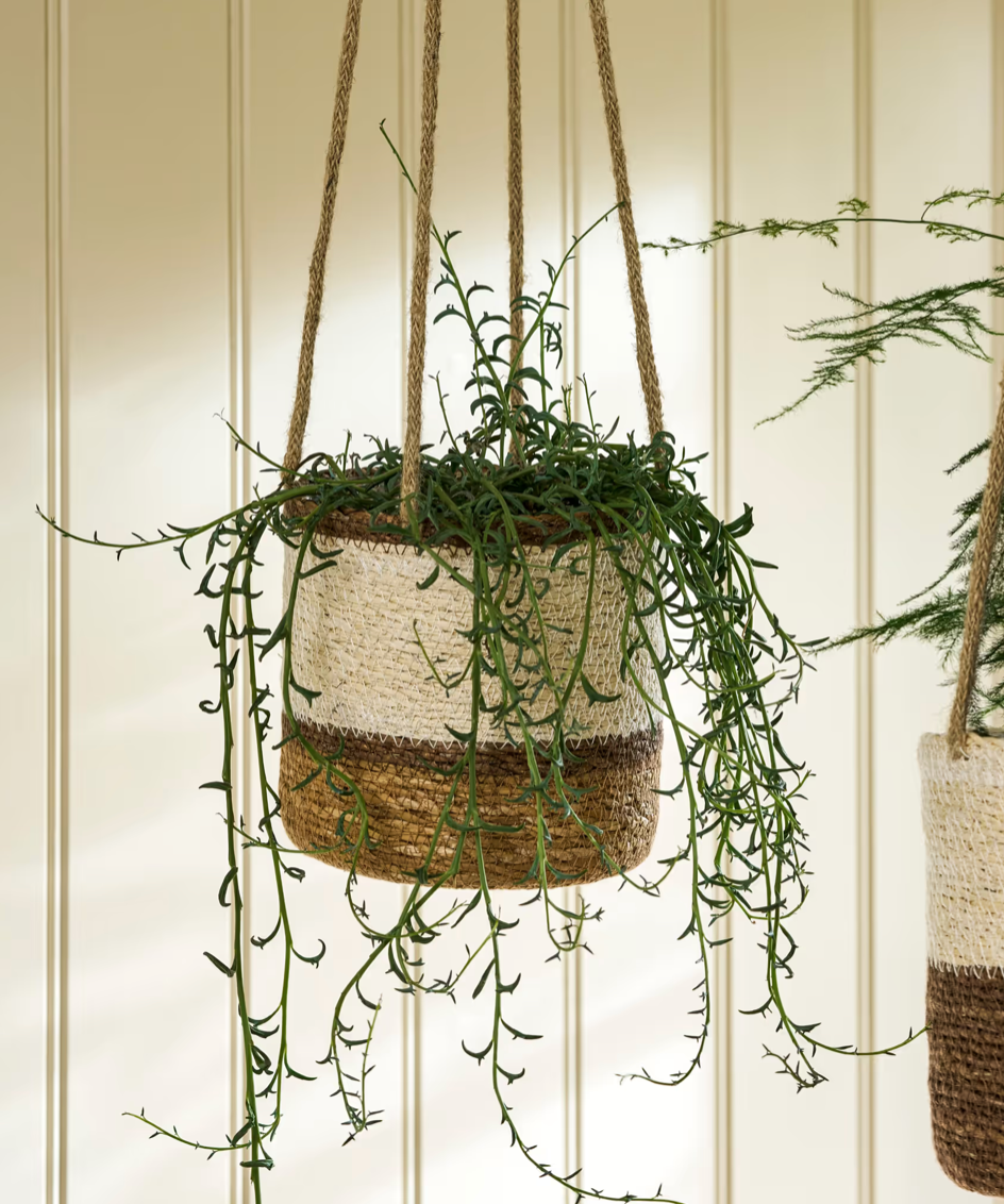 Garden_trading_hanging_plant_pot_in_natural_seaweed_1.png