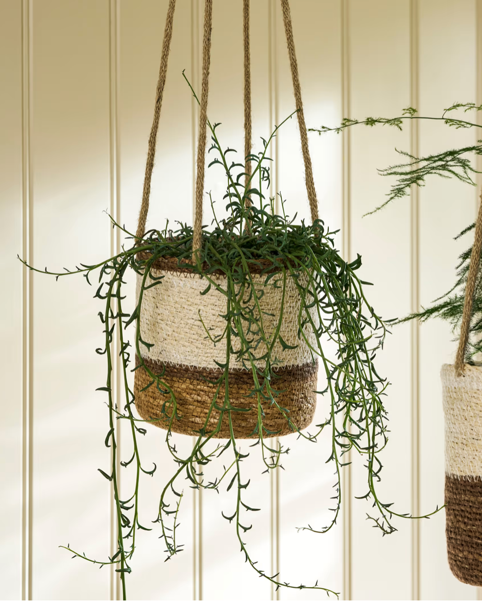 Handwoven Hanging Plant Pot Multi Stripe | Seagrass | Natural | Ø14cm
