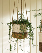 Handwoven Hanging Plant Pot Multi Stripe | Seagrass | Natural | Ø14cm