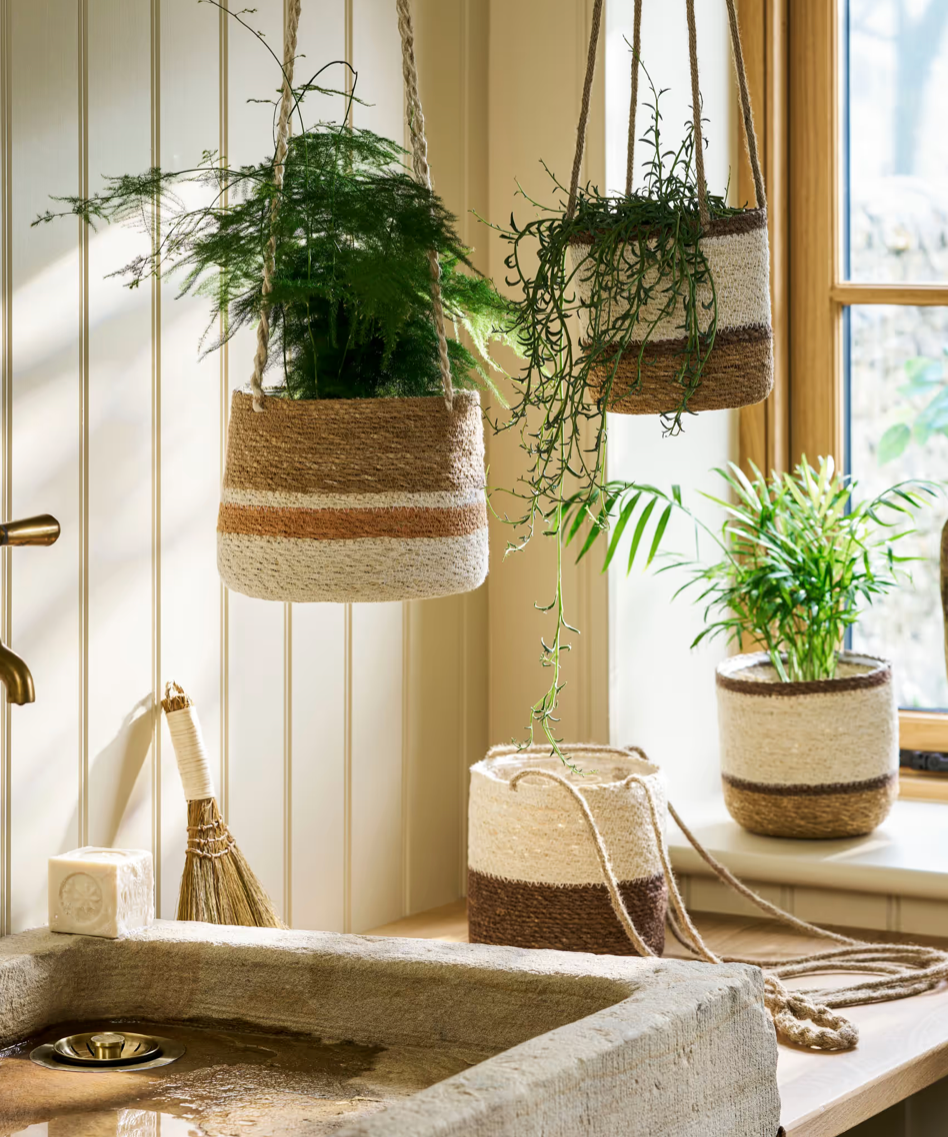 Hanging planters with greenery against a neutral wall