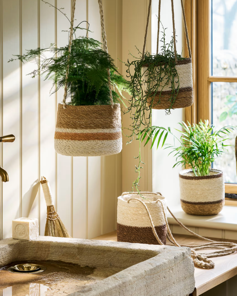 Hanging planters with greenery against a neutral wall