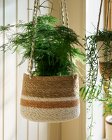 Hanging Plant Pot Striped base | Seagrass | Terracotta | Ø20cm
