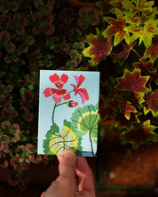 Brie Harrison Geranium mini card pack, pack of 8 blank cards