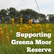 Plantlife Mix Seedballs