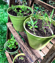 The Every Space Garden Mini-Meadow with 3 biodegradable, compostable bamboo pots and saucers, peat-free coir discs, and 12 wildflower seed balls containing approximately 30 wildlife-friendly wildflower seeds, by Seedball
