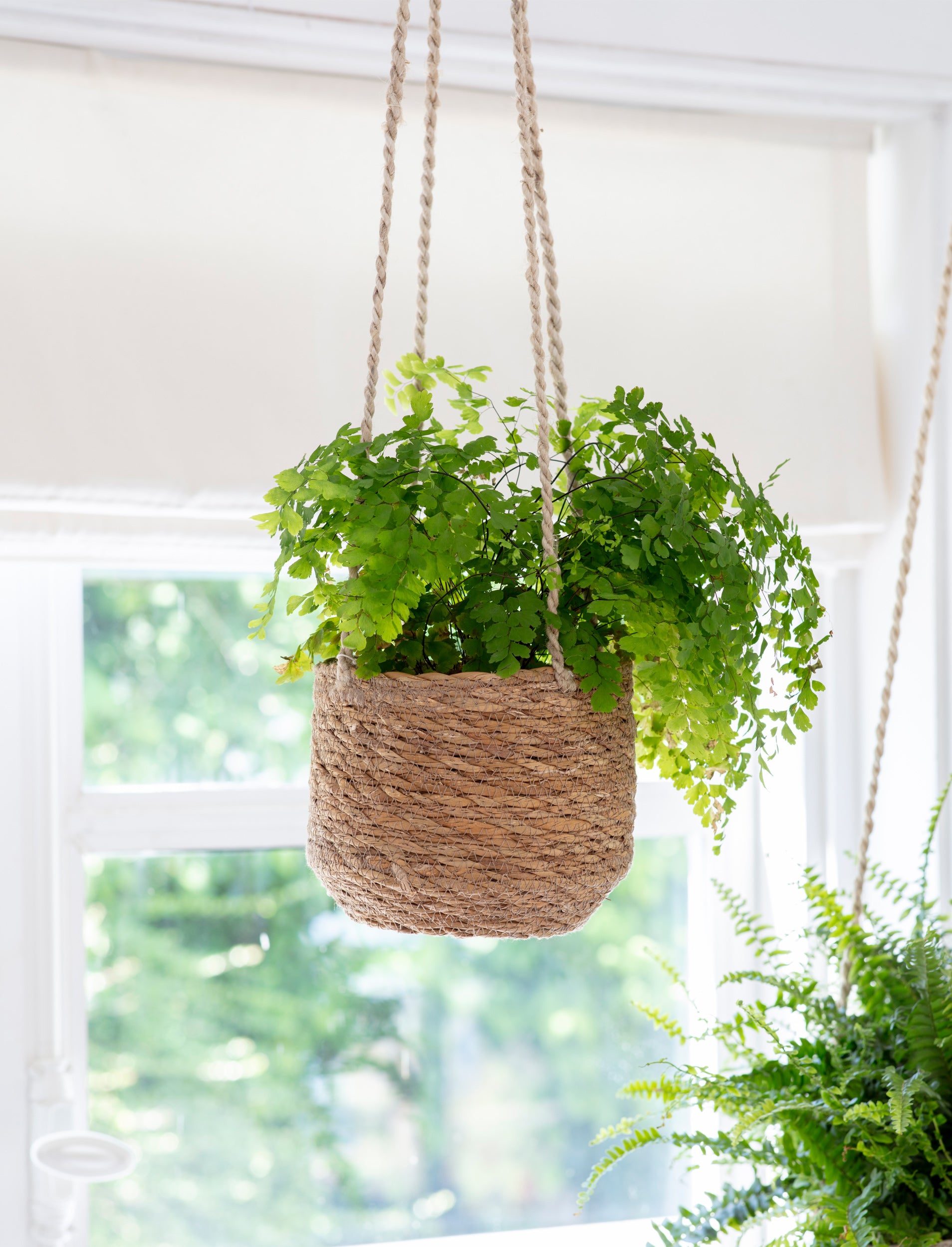 Hanging Woven Plant Pot | Ø17cm