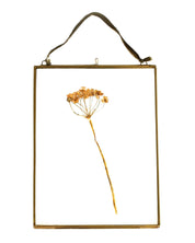 Gold-framed picture with a dried flower on a white background