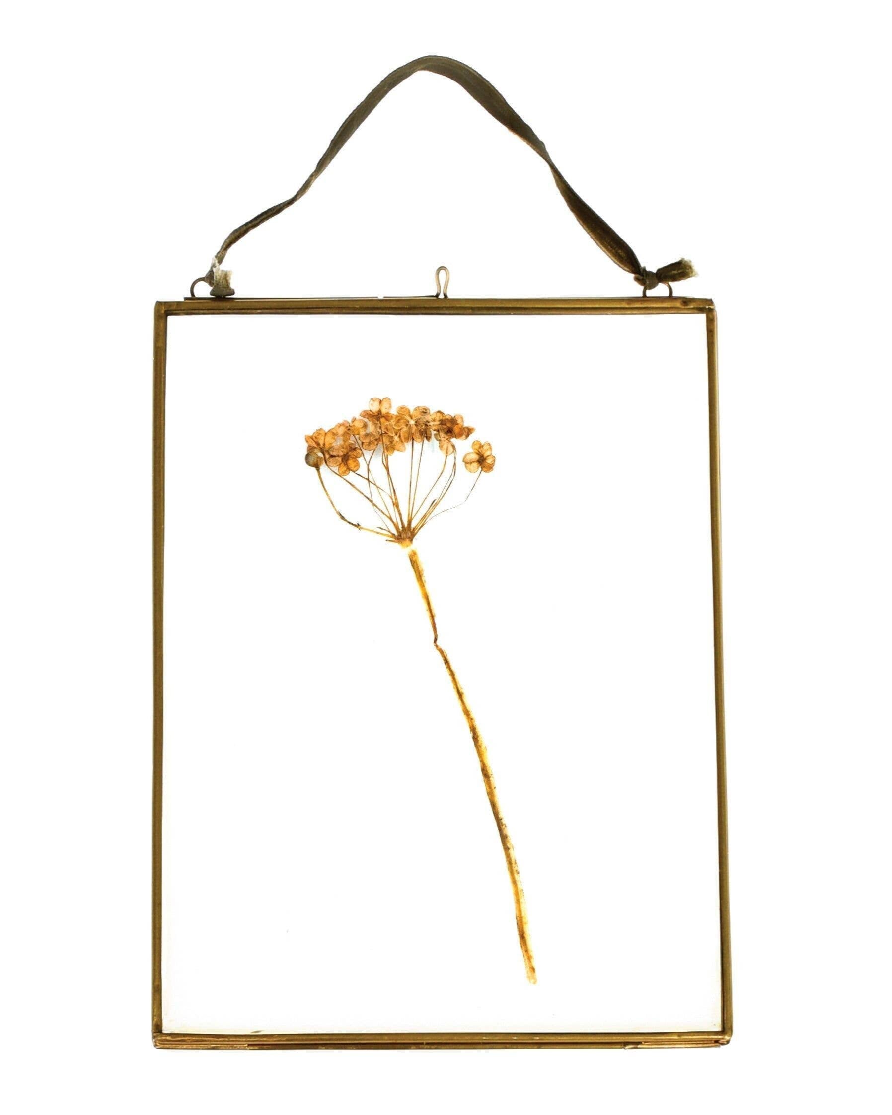 Gold-framed picture with a dried flower on a white background