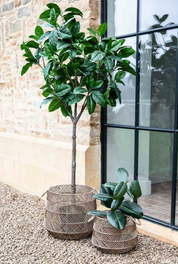 Hilton Woven Basket | Large