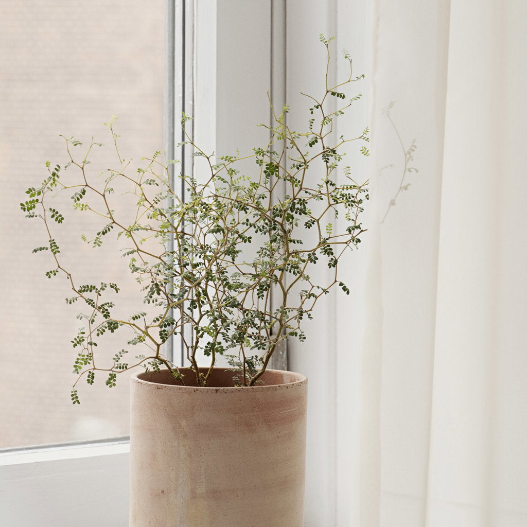 Hoff Pot Ø25cm | Rose Clay