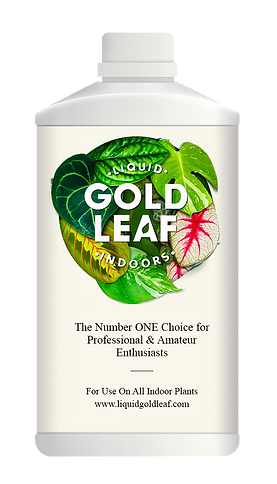 The Every Space liquid fertiliser for all indoor plants, with fully soluble calcium, by Gold Leaf