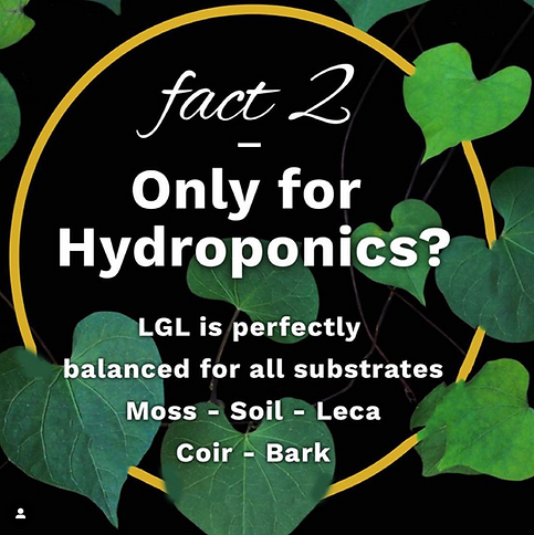 Liquid Gold Leaf is a revolutionary and innovative liquid fertiliser for all indoor plants. The technical advance is the inclusion of fully soluble calcium