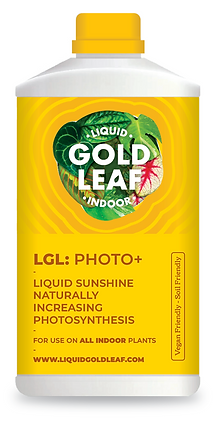 The Every Space Liquid Gold Leaf Indoor Photo+ liquid that naturally increases photosynthesis in indoor plants, by Gold Leaf