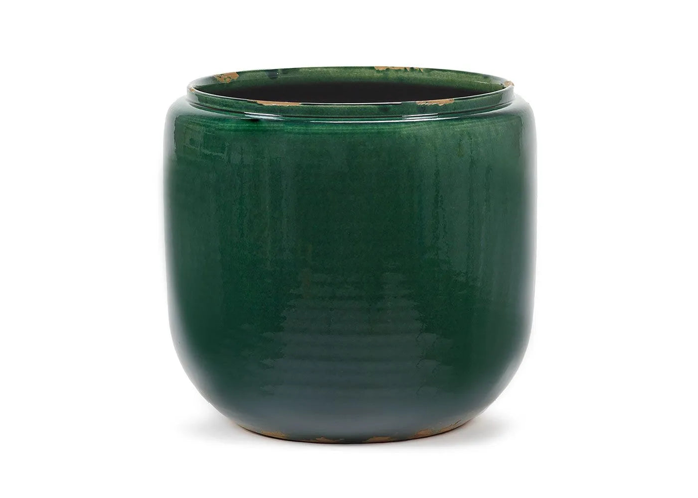 Costa Plant Pot in Green | Medium