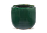 Costa Plant Pot in Green | Small