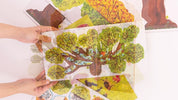 Make and Play: Build A Tree: Build a 30cm Oak Tree! Includes a 32-page Book and 40+ Model Pieces