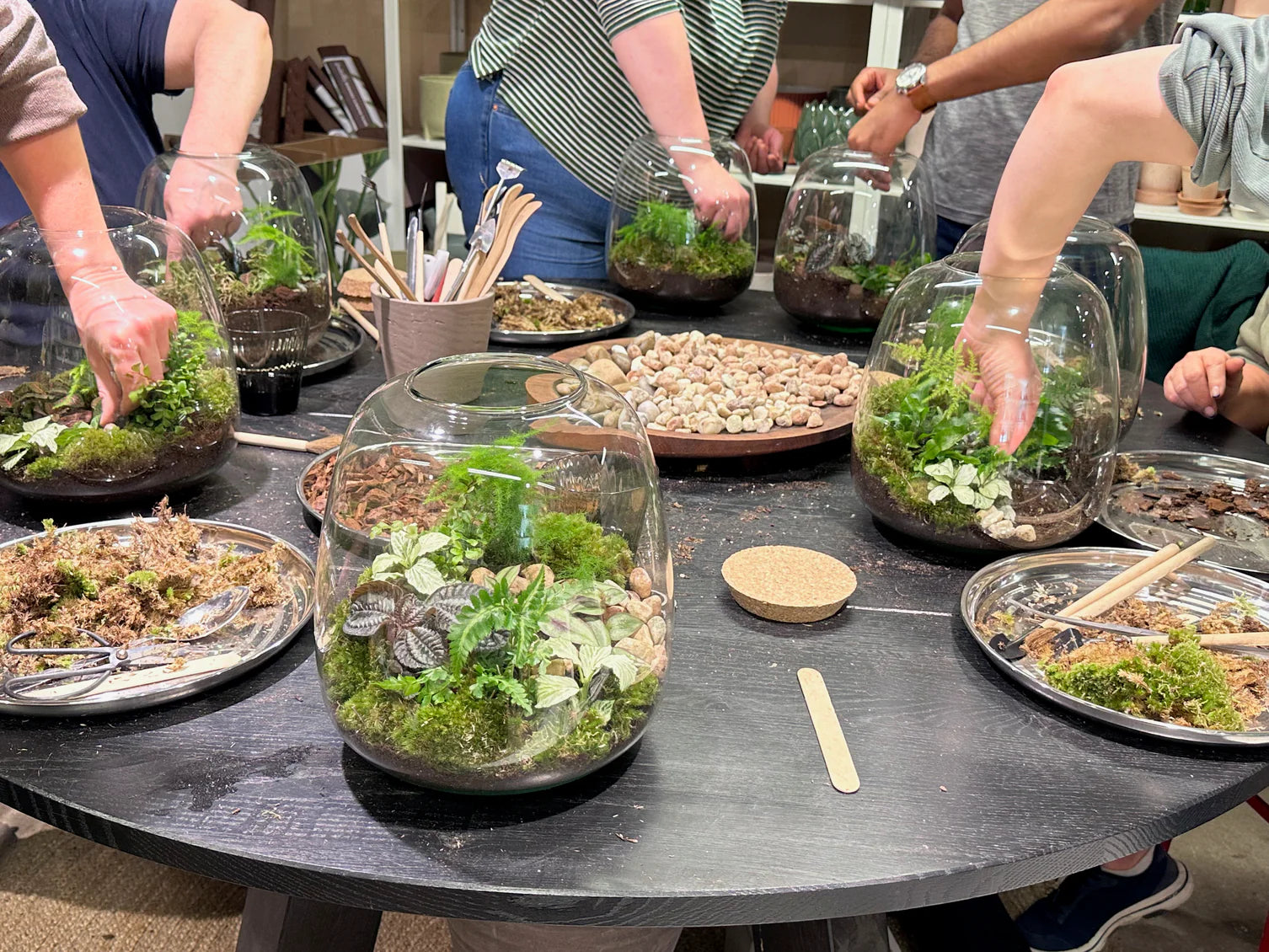 photo of a terrarium making workshop