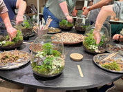 photo of a terrarium making workshop