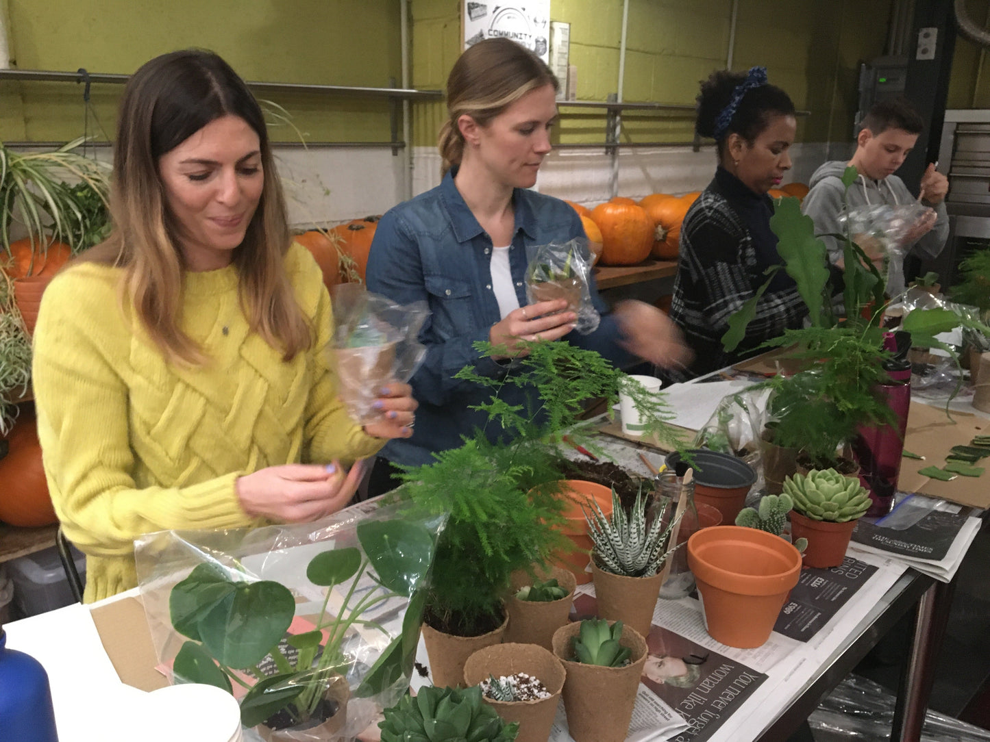 Houseplant Happiness Workshop | Tuesday 10th June 2025