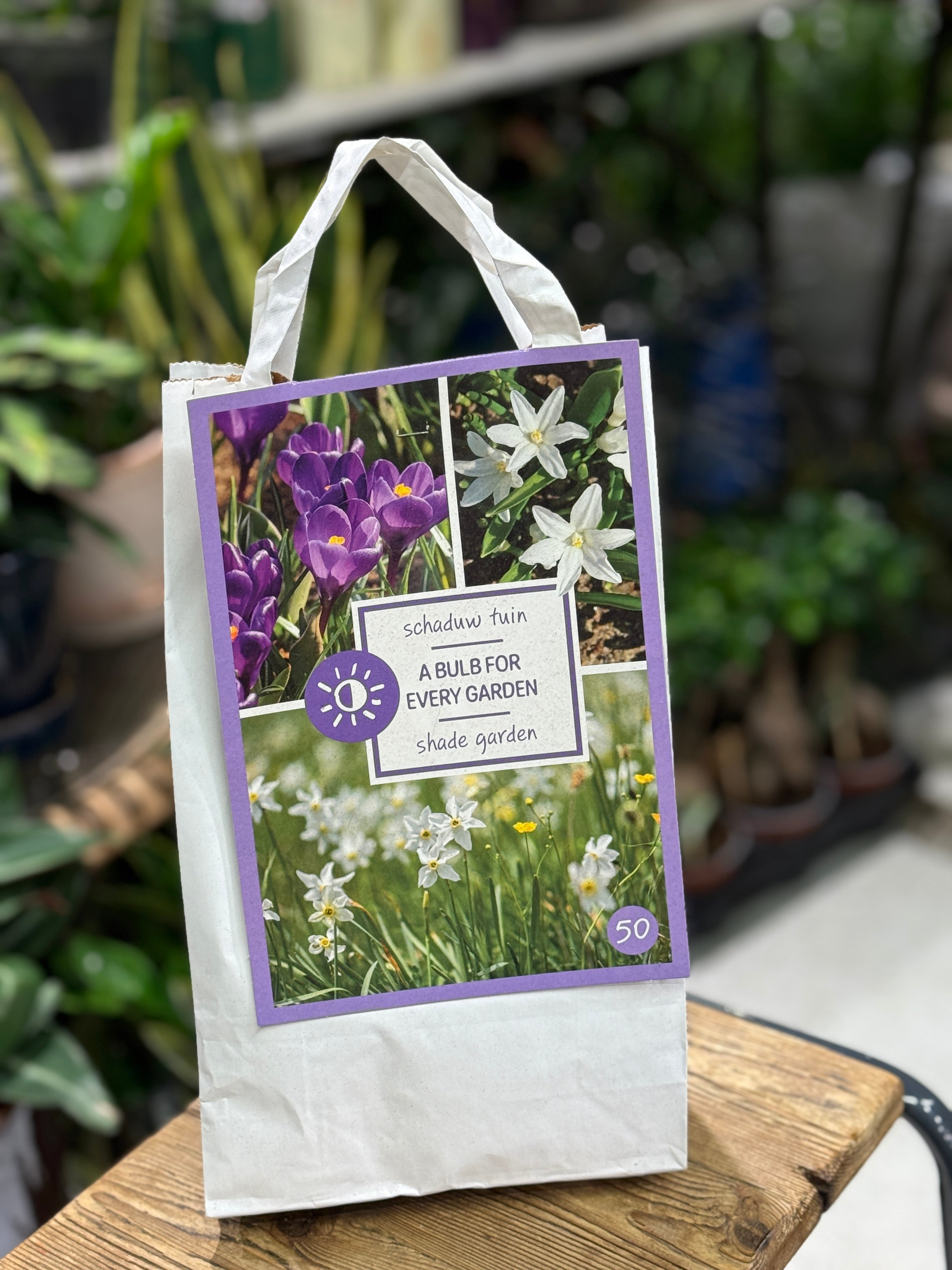 Shade Garden | 50x Mixed Bulbs