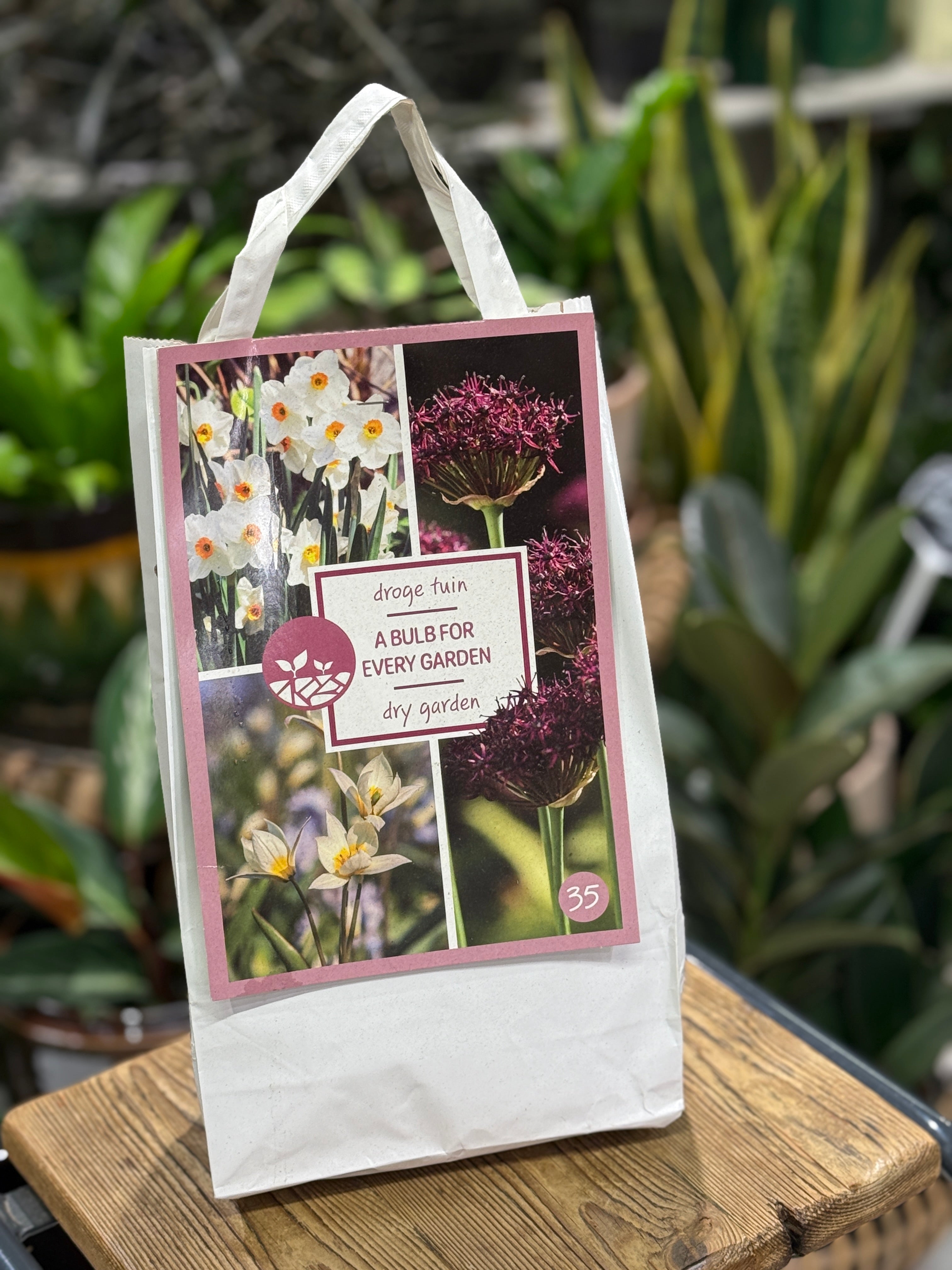 Dry Garden | 35x Mixed Bulbs