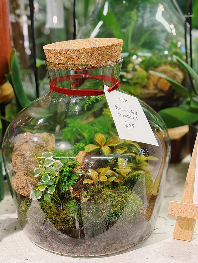 Christmas Terrarium Pre-Orders