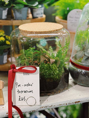 Christmas Terrarium Pre-Orders