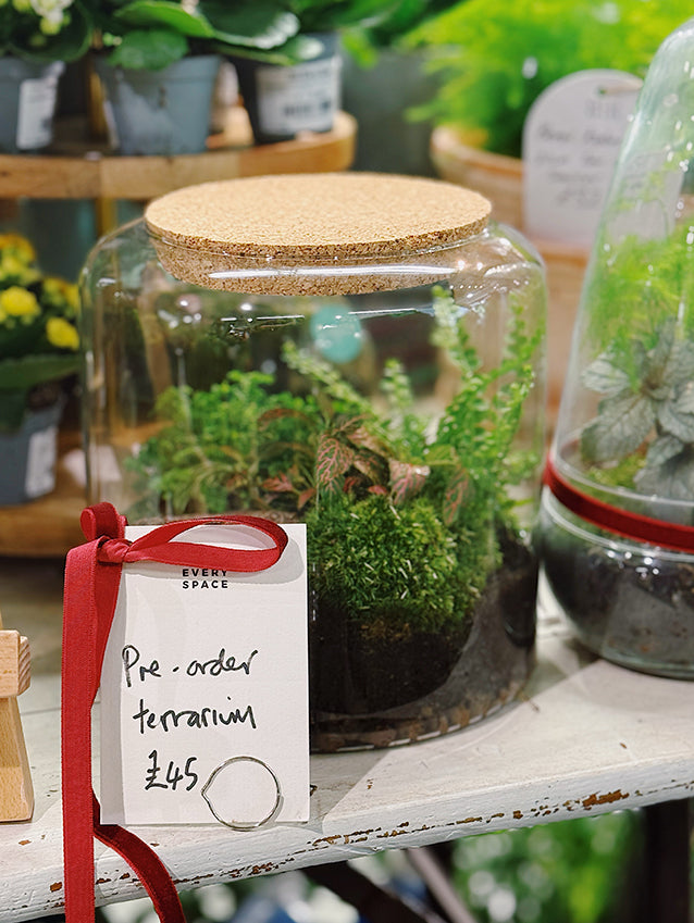 Christmas Terrarium Pre-Orders