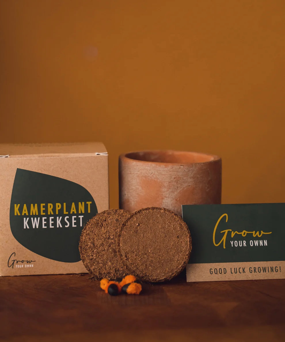 KS000-KweeksetKamerplantenGrowYourOwnn_59496b99-879d-4adb-bdff-3fec15c8c528.webp