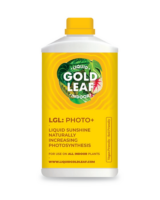 The Every Space Liquid Gold Leaf Indoor Photo+ liquid that naturally increases photosynthesis in indoor plants, by Gold Leaf