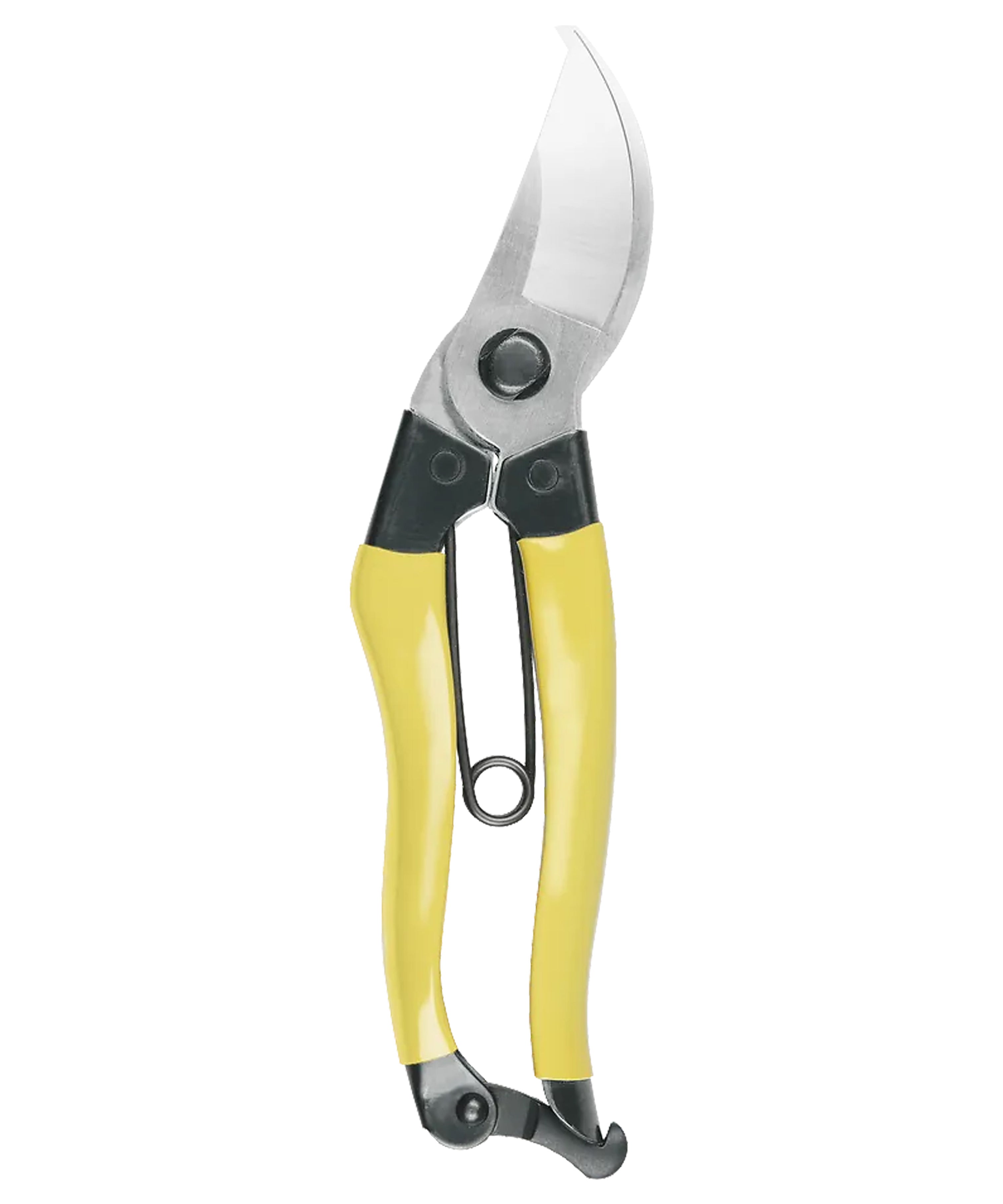 MainichiSecateurs.jpg