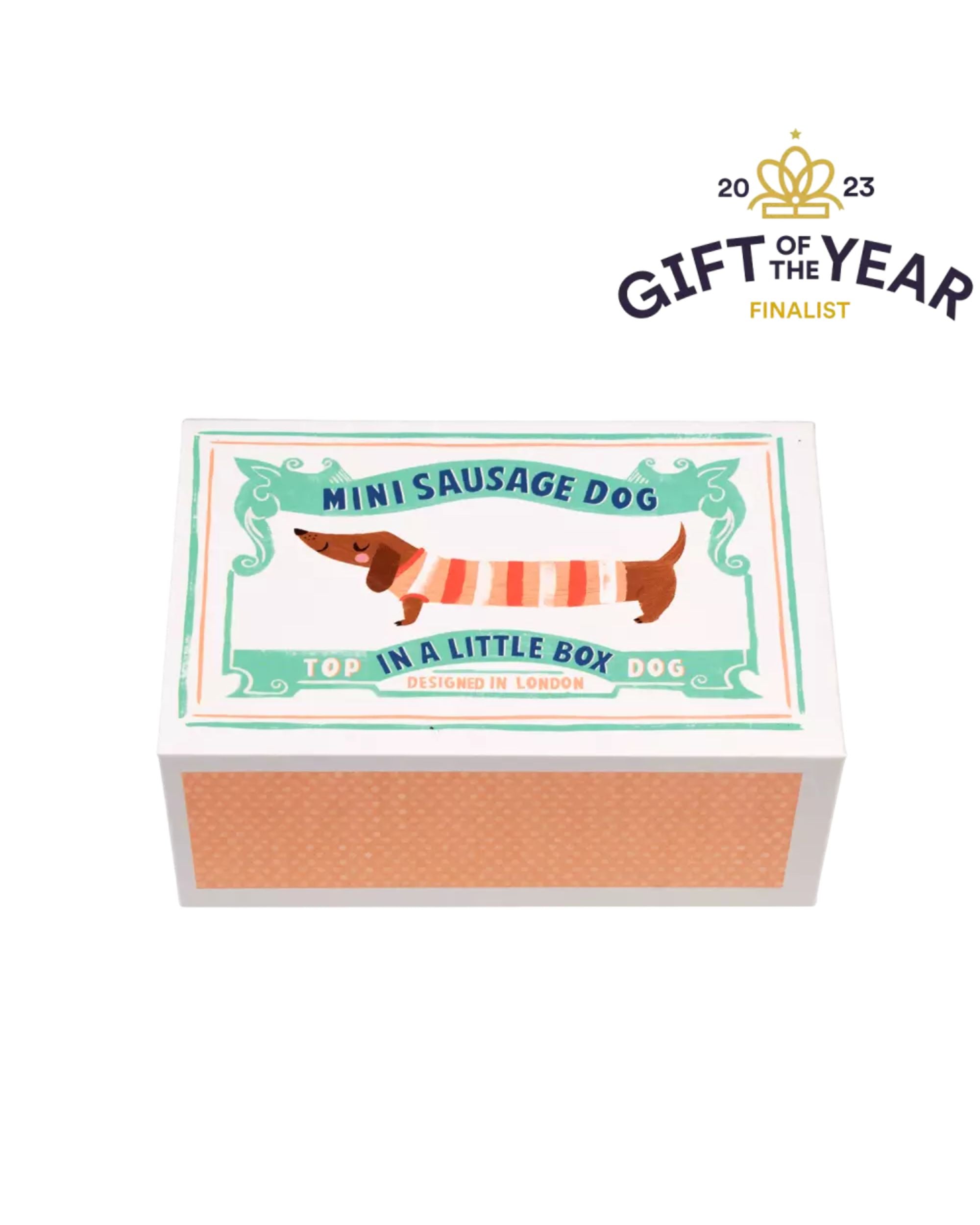 Mini Sausage Dog in a Little Box