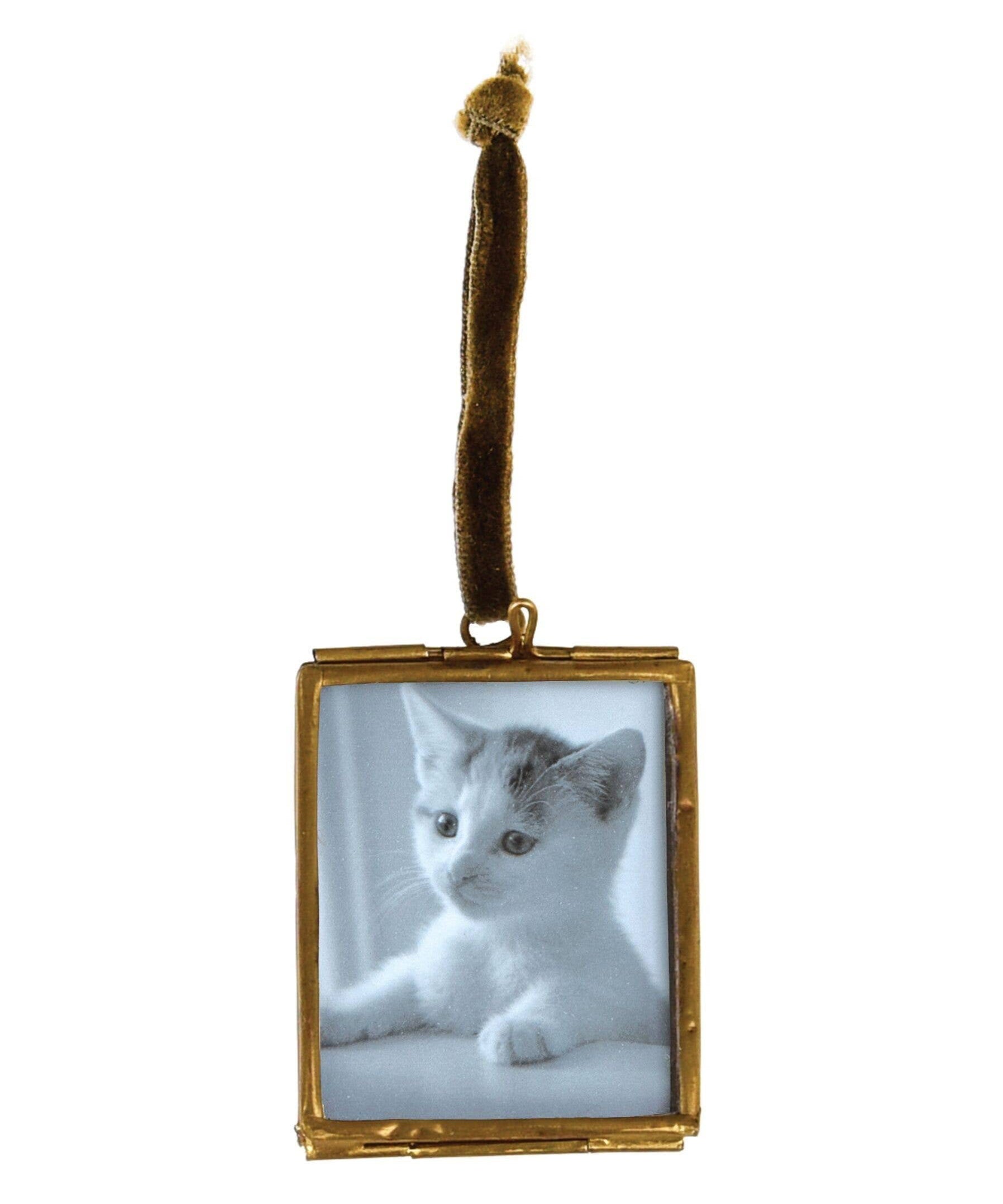 Mini_hanging_Brass_Frame_Rex_1.jpg