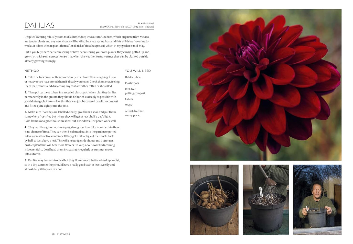 The Gardening Book by Monty Don