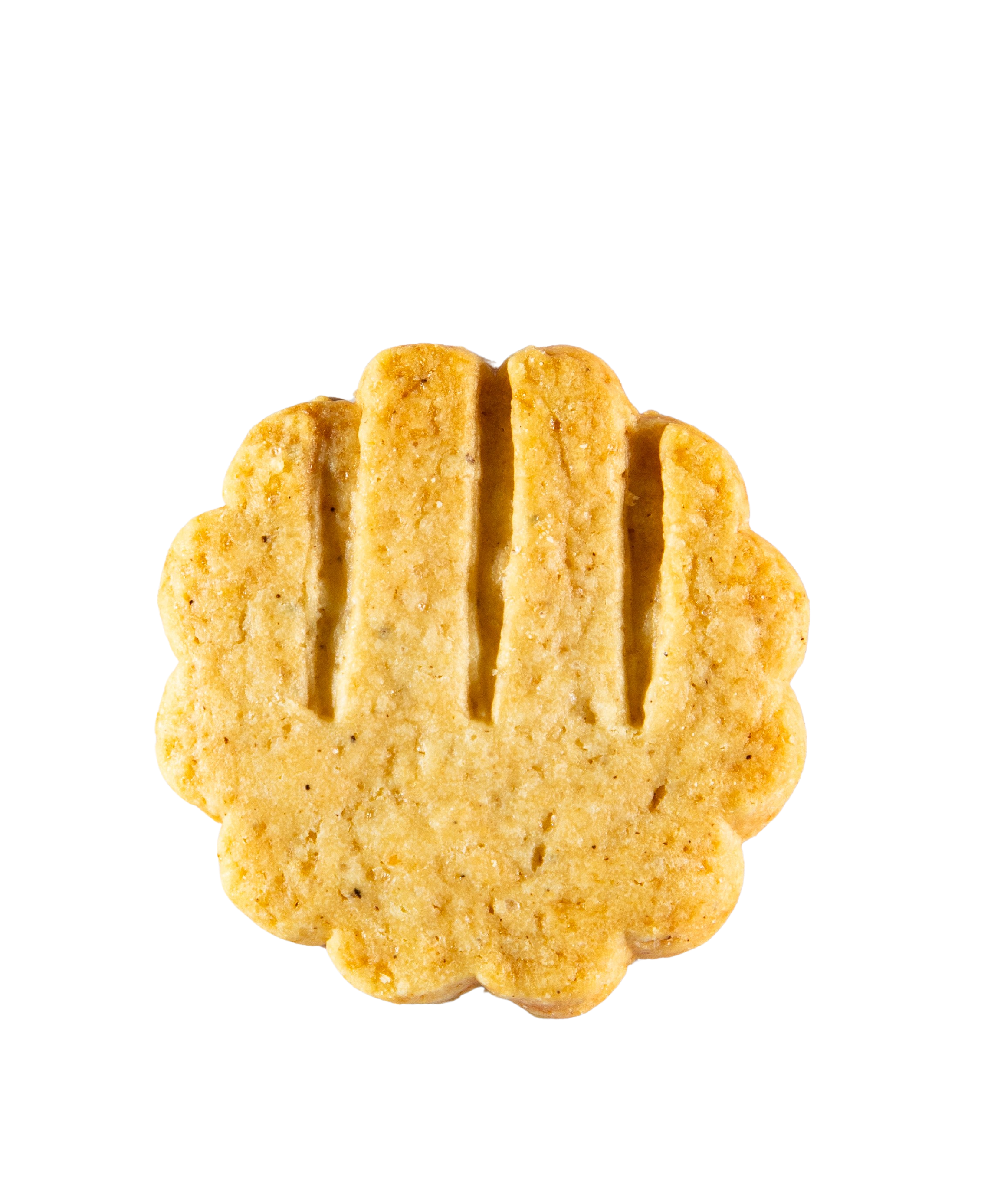 A single round, scalloped biscuit or cookie with vertical slits, shown on a plain white background.