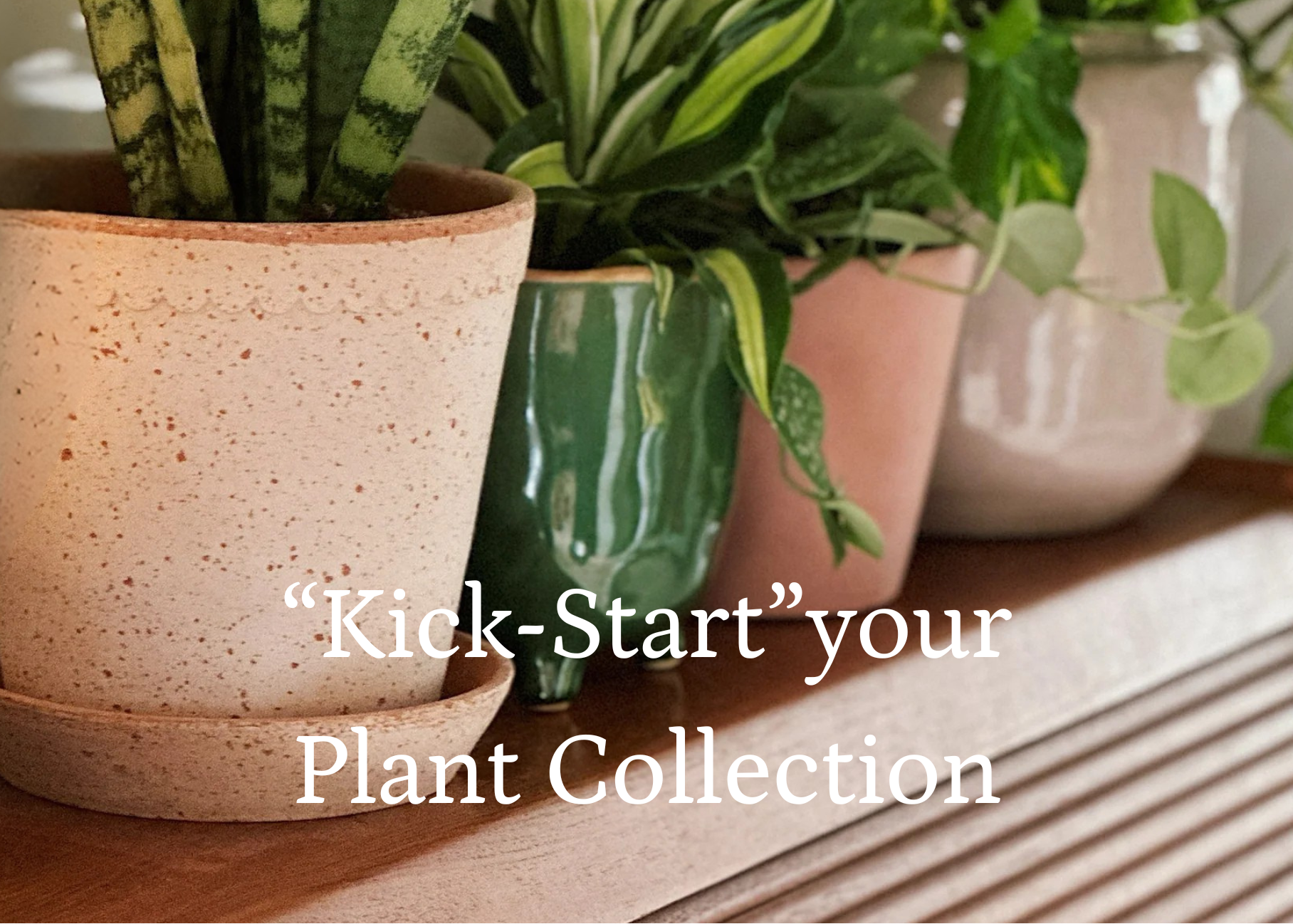 Row of potted plants on a wooden surface with text &#39;Kick-Start your Plant Collection&#39;.