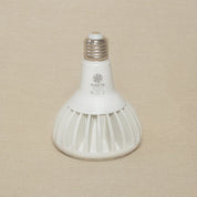 Pianta LED Grow Light Bulb in White