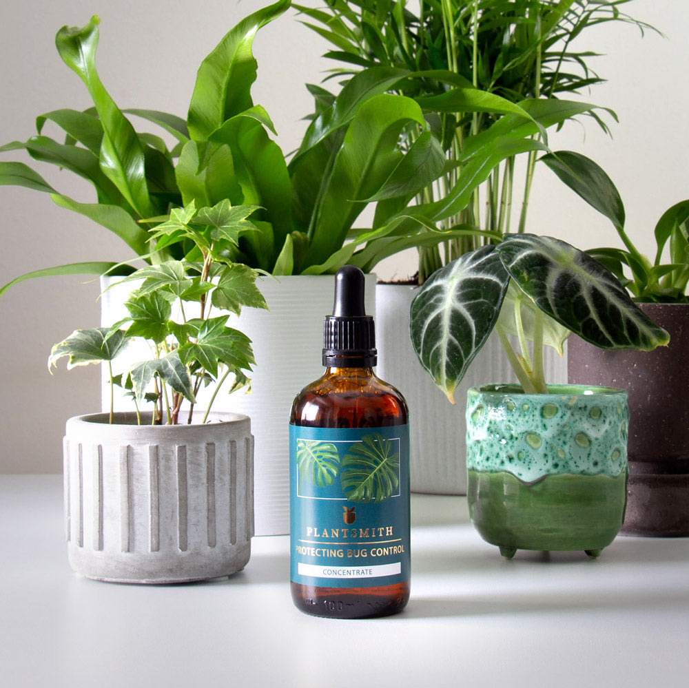 Bug Control Elixir Protecting Bug Control Concentrate 100ml – The Every Space