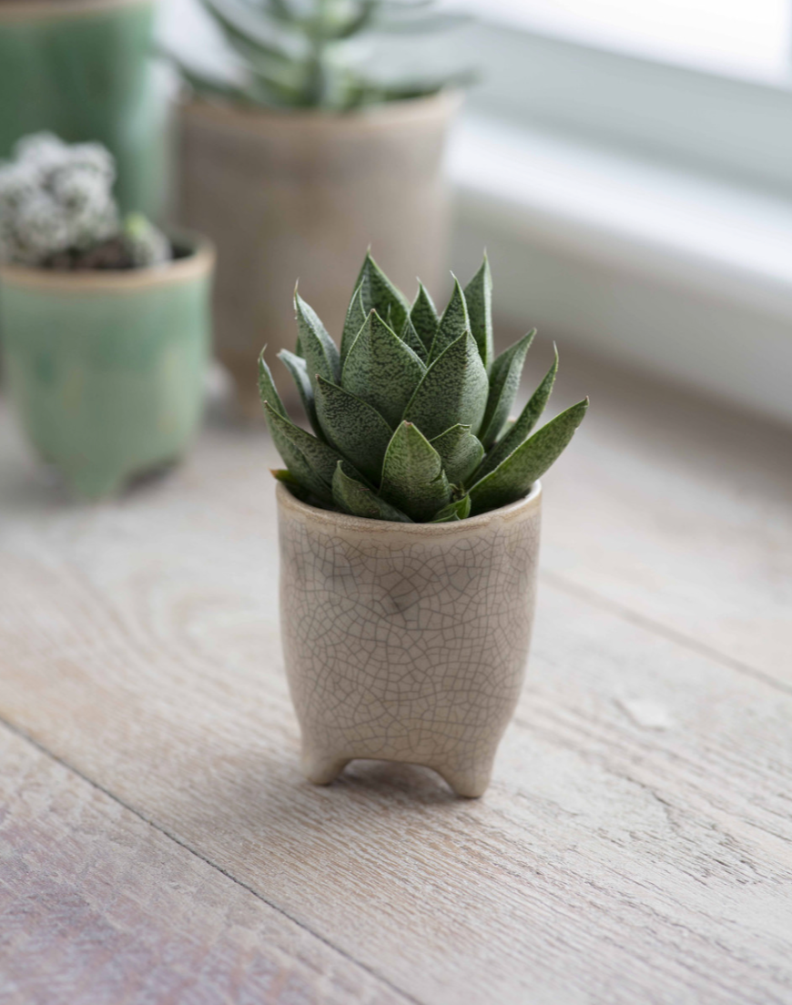 Positano Pot | Ø7.2cm, Ø13.5cm, Ø20cm| Forest Green / Soft Stone
