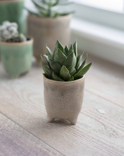 Positano Pot | Ø7.2cm, Ø13.5cm, Ø20cm| Forest Green / Soft Stone
