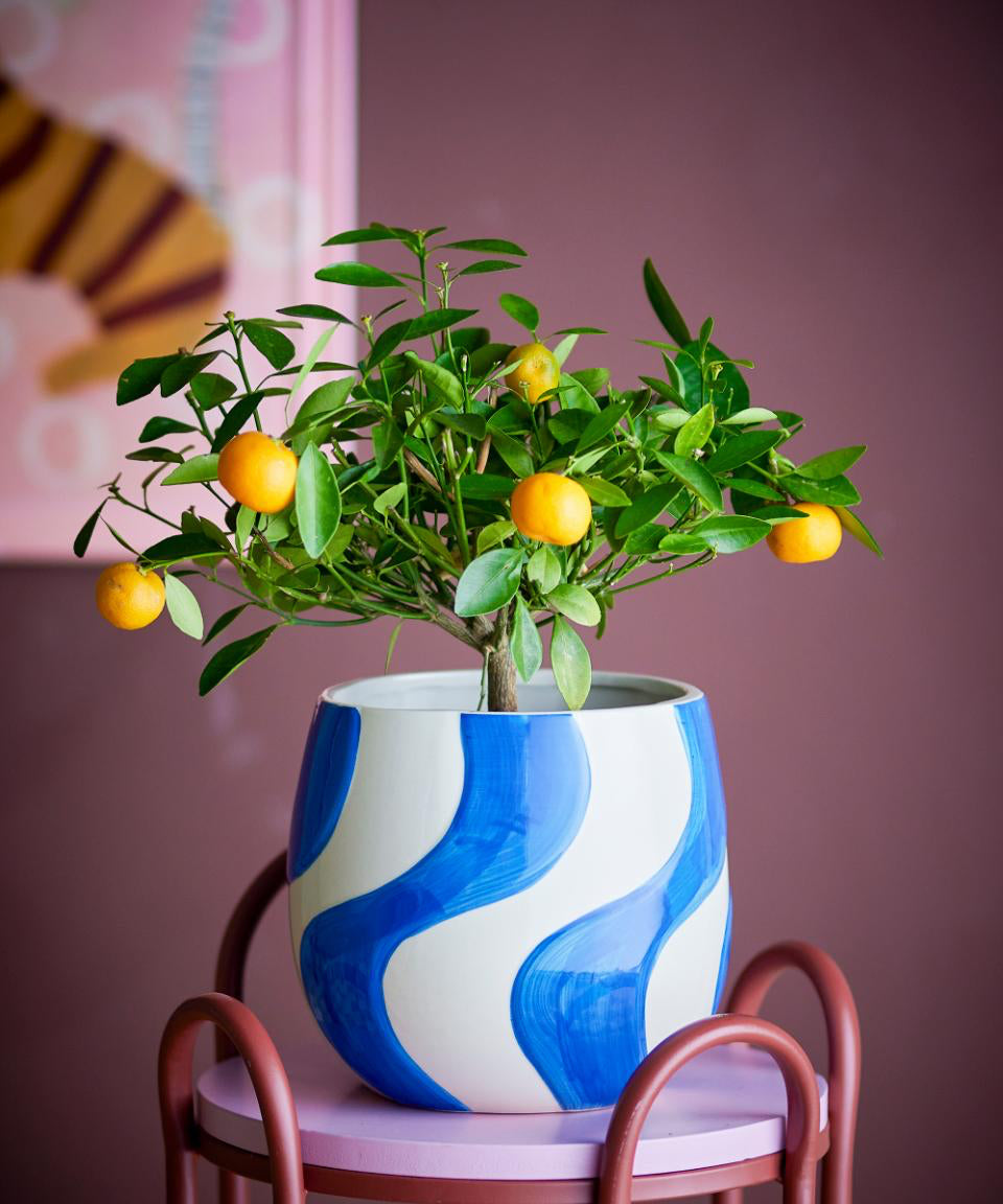 Potted plant with blue and white swirl design on a pink chair against a purple wall