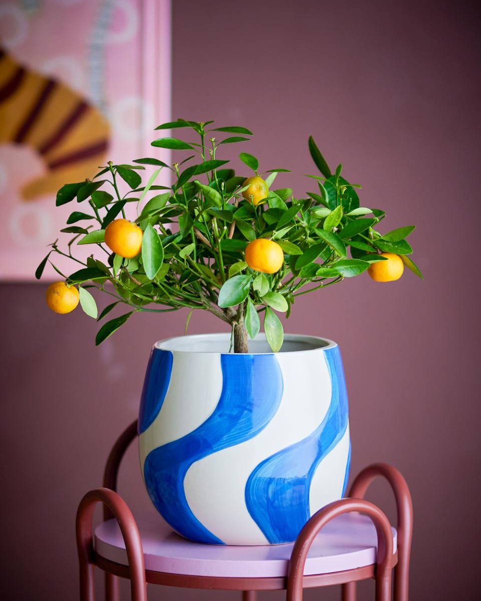 Potted plant with blue and white swirl design on a pink chair against a purple wall