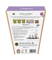 The Every Space Garden Mini-Meadow with 3 biodegradable, compostable bamboo pots and saucers, peat-free coir discs, and 12 wildflower seed balls containing approximately 30 wildlife-friendly wildflower seeds, by Seedball