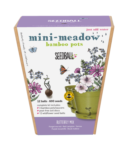 Garden Mini-Meadow