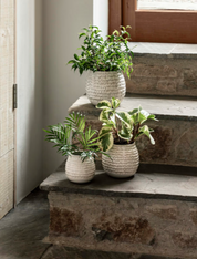 Winkleigh Pot White | Ø7cm or Ø12cm