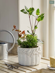 Cetara Pot White ø18cm