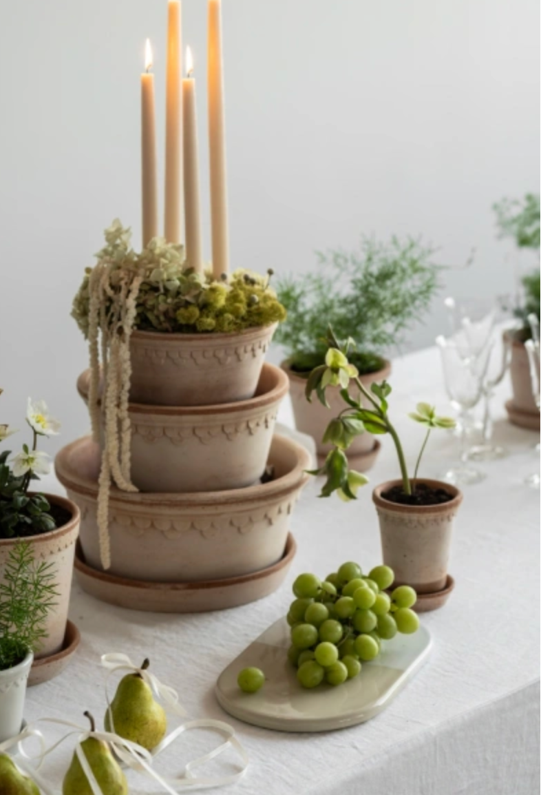 Kobenhavner_Helena Rosa Herb Planter and saucer