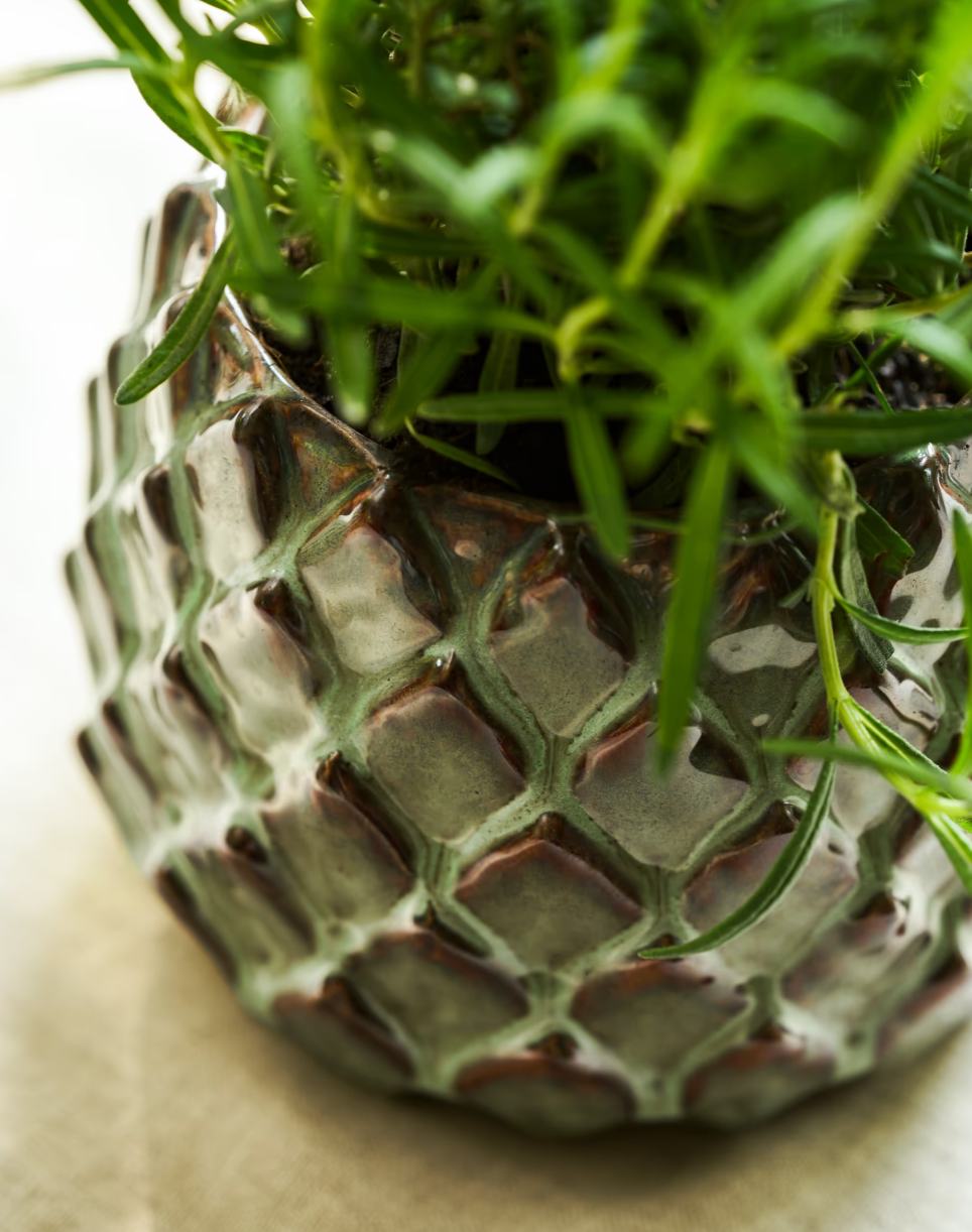 Wilcot Plant Pot | Large