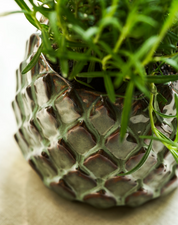 Wilcot Plant Pot | Large