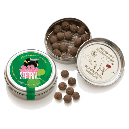 Short-Haired Bumblebee Mix Seed Tin